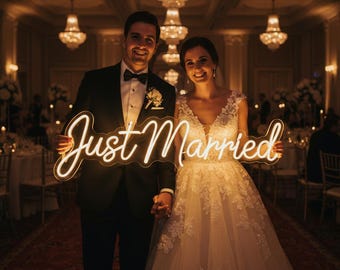 Wedding Neon Name Sign, LED Custom Neon Sign, Wedding Name Neon Sign, Neon Name Decor, Light Up Sign, Light Wall Decor, Last Name Signs