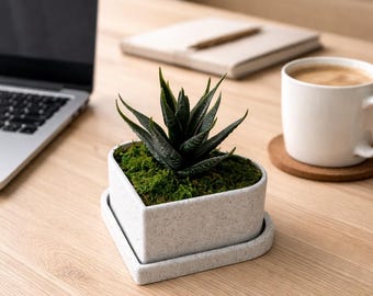 Heart Shaped Planter with Tray – Succulent Holder, Minimalist Desk Accessory, Gift for Plant Lovers