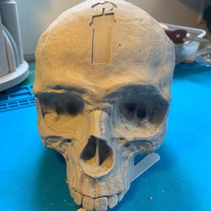 May include: A matte off-white human skull sculpture featuring a recessed candle-shaped cutout on the top of the cranium. The skull has detailed eye sockets, a nasal cavity, and a row of teeth, with a small wooden stick resting underneath the jaw.