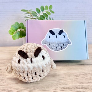 Beginner Crochet Kit, Easy Starter Amigurumi Kit, DIY Craft Kit Gift, Owl, Bird, Bird, Pet, Animal