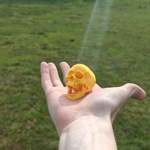 May include: A small, bright yellow, three-dimensional skull figurine with a hollowed-out eye socket and nasal cavity, featuring an open-mouthed expression with visible teeth, crafted with a textured surface finish.