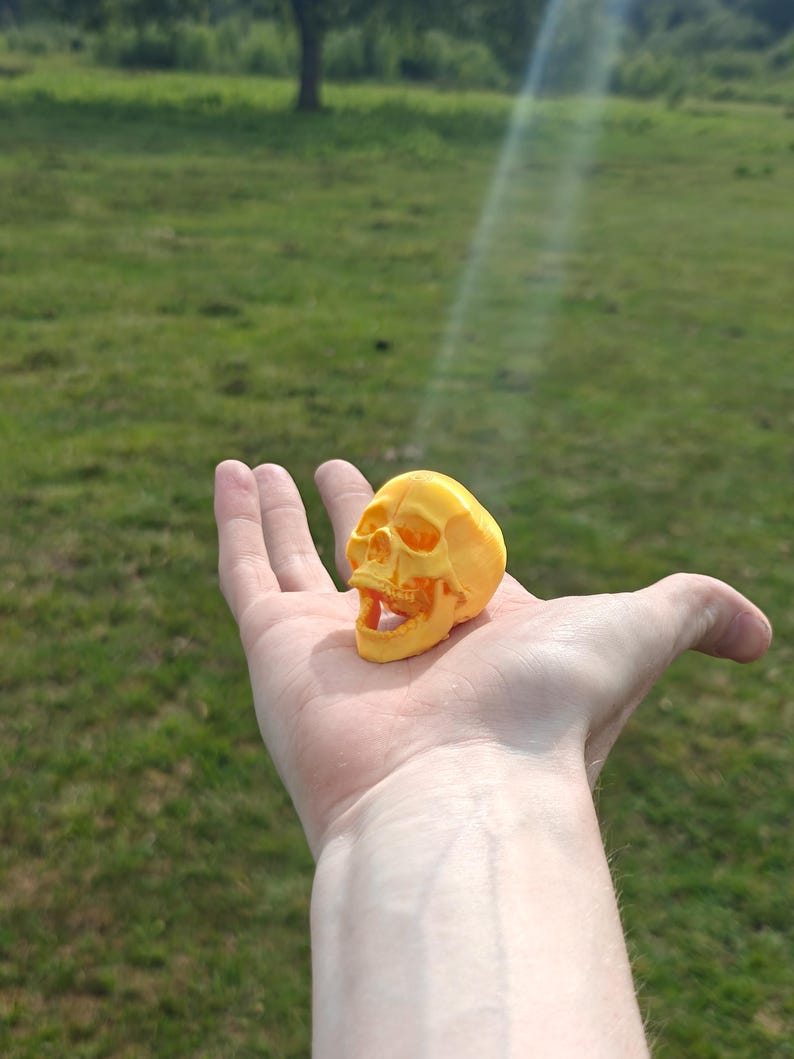 May include: A small, bright yellow, three-dimensional skull figurine with a hollowed-out eye socket and nasal cavity, featuring an open-mouthed expression with visible teeth, crafted with a textured surface finish.