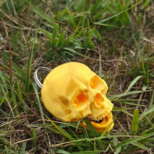 May include: A bright yellow skull-shaped keychain featuring a realistic anatomical structure with visible eye sockets, a nasal cavity, and teeth, attached to a circular silver-colored metal ring for securing keys or other small items.