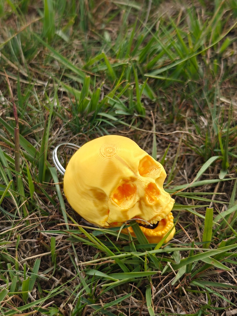 May include: A bright yellow skull-shaped keychain featuring a realistic anatomical structure with visible eye sockets, a nasal cavity, and teeth, attached to a circular silver-colored metal ring for securing keys or other small items.