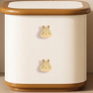 Brass Nursery Knob: Kid's Room Drawer Knob, Nightstand Decorative Knobs