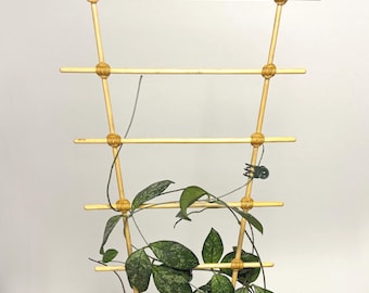 Large 20" Bamboo Ladder Trellis for Climbing Indoor Plant Support (Monstera, Hoya, Pothos, Philodendron, Syngonium), Natural Wood Finish