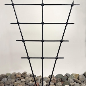 Medium 18 x 12 3/8” Fan Trellis for Climbing Houseplants, Black • Fits 4–6” Pots • Double Ladder Plant Stake Support • Ebonized Wood Finish