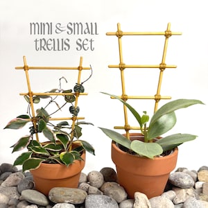 Pode incluir: Um conjunto de treliças mini e pequenas com dois suportes de plantas de madeira clara em forma de escada. Cada treliça é construída com degraus horizontais fixados com corda castanha. O conjunto inclui dois vasos de terracota com plantas.