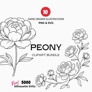 Peonía con diseño lineal SVG, clipart botánico retro PNG, invitaciones de boda (descarga instantánea)
