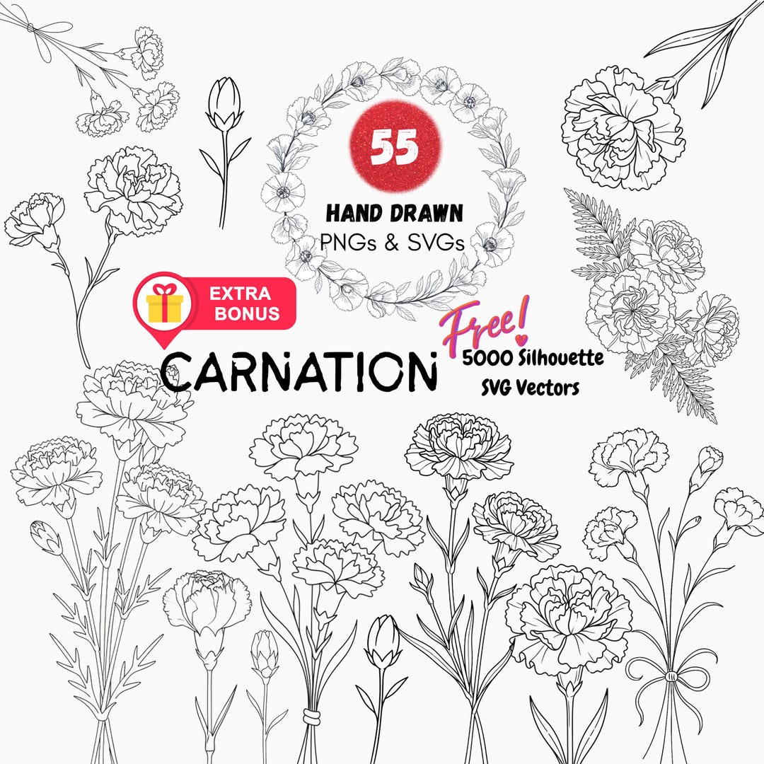 Carnation Birth Month Wildflower Clipart, Botanical Line Art SVG PNG ...
