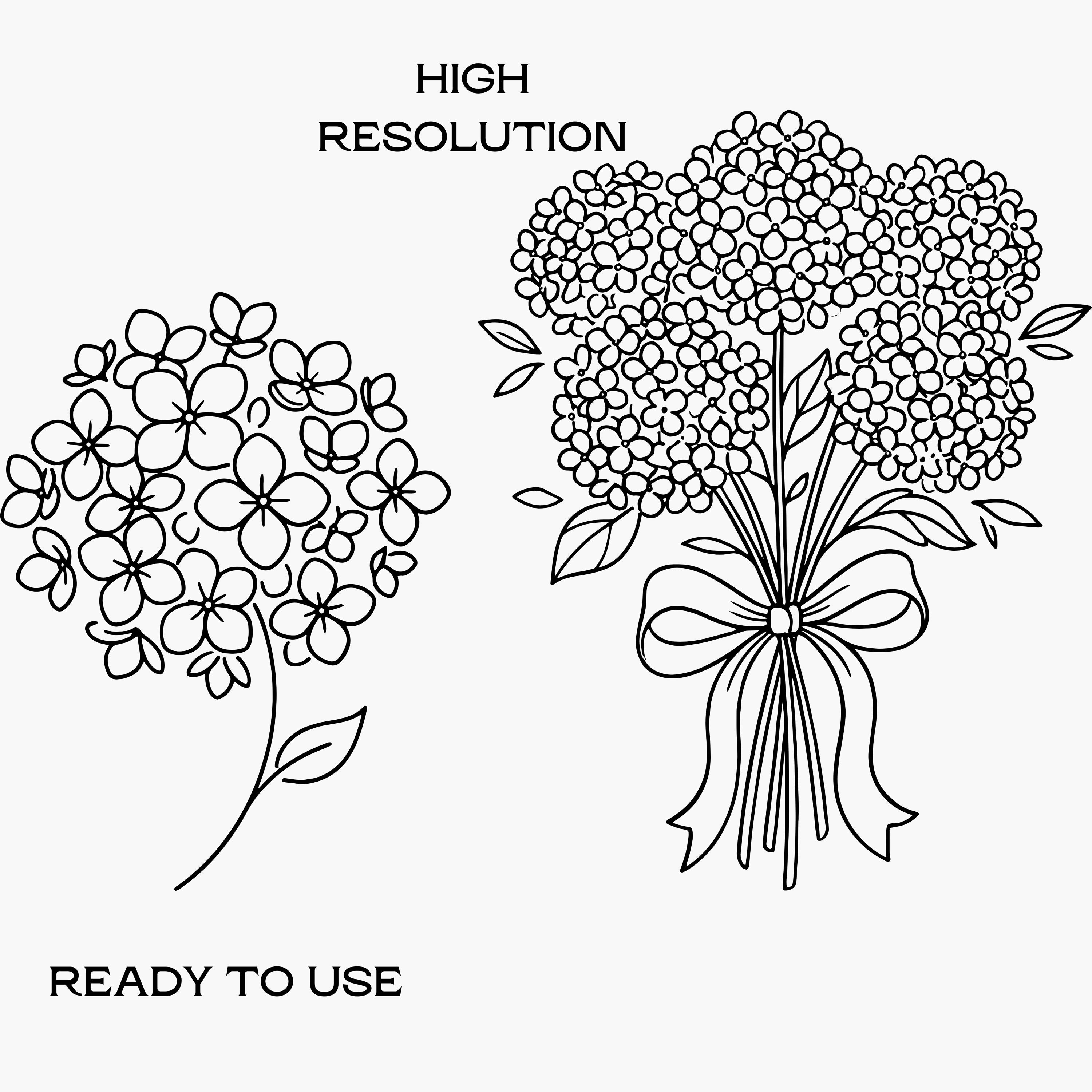 Hydrangea Flower Clipart SVG Bundle, Retro Line Art PNG (digital ...