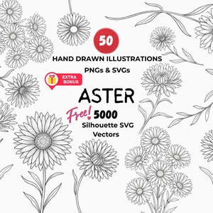 Clipart di fiori selvatici del mese di nascita di Aster, arte botanica in formato SVG PNG (download immediato)