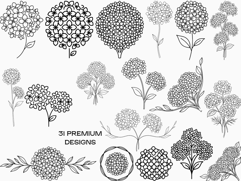 Hydrangea Flower Clipart SVG Bundle, Retro Line Art PNG (digital ...