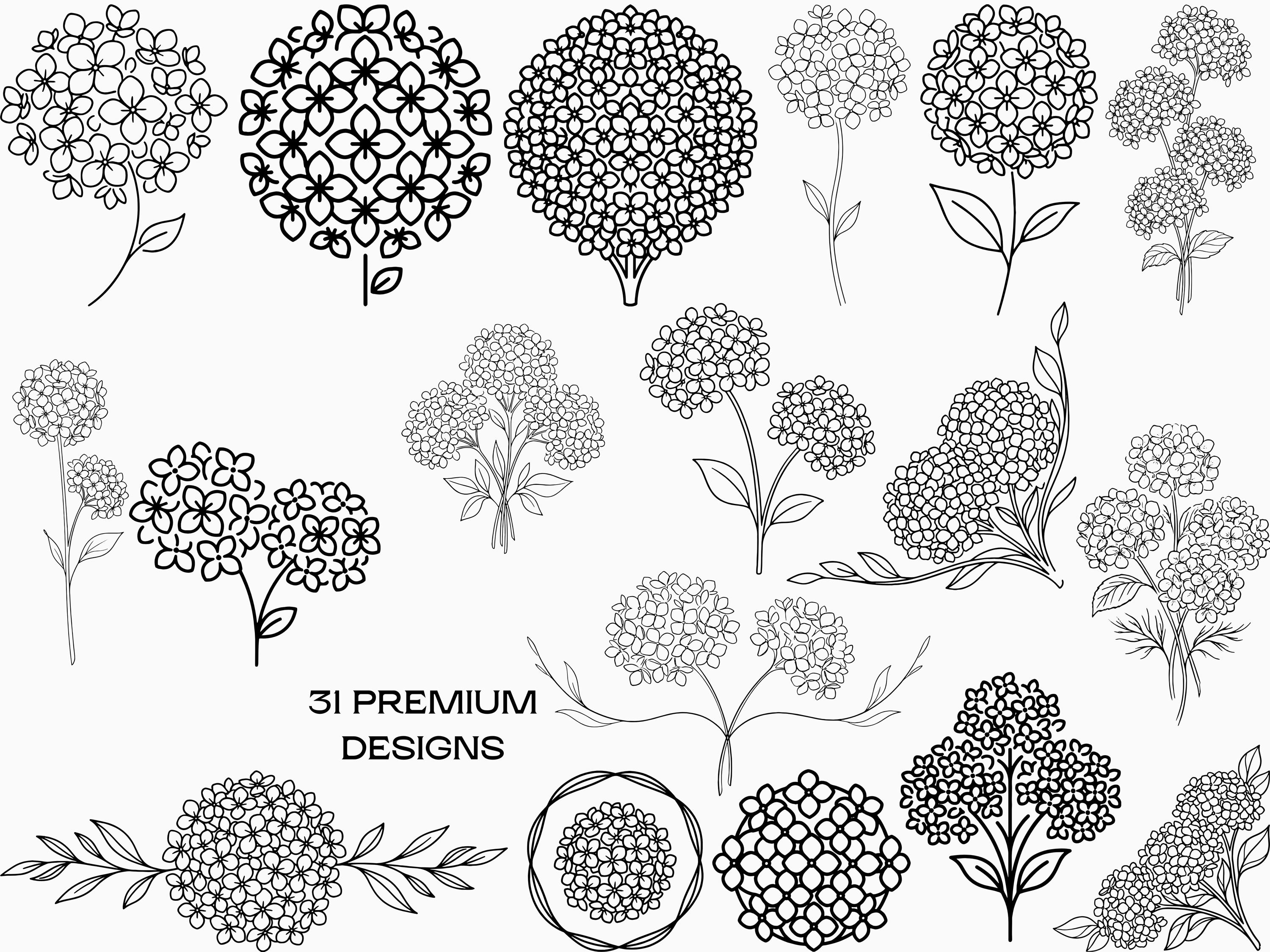 Hydrangea Flower Clipart SVG Bundle, Retro Line Art PNG (digital ...