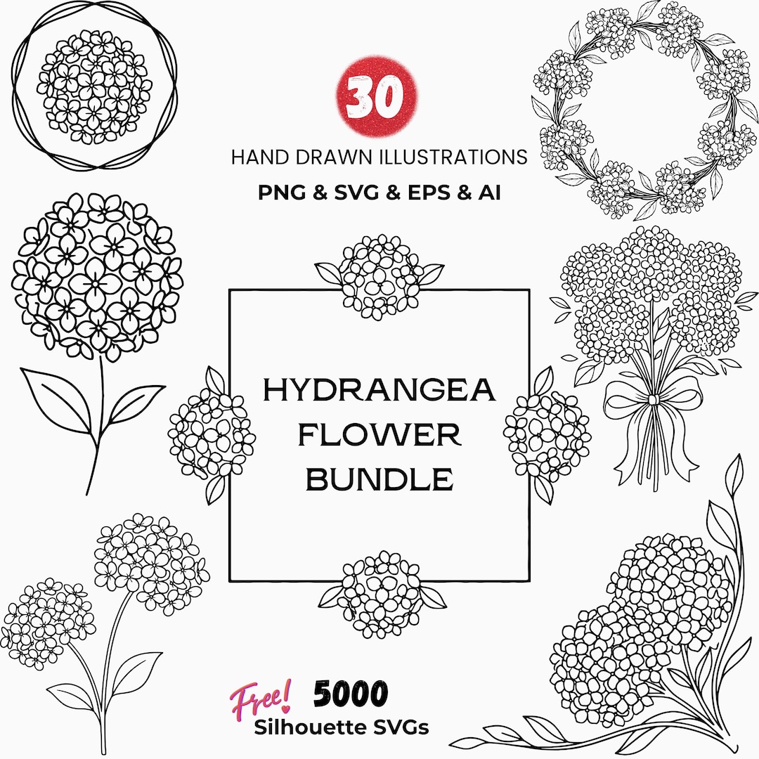 Hydrangea Flower Clipart SVG Bundle, Retro Line Art PNG (digital ...