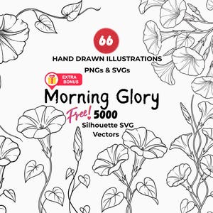 Morning Glory Birth Month Clipart, Wildflower Botanical Line Art SVG PNG (Instant Download)