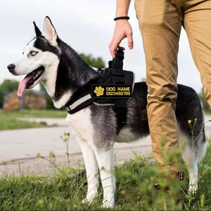 May include: A black and white Siberian Husky dog wearing a black harness with a reflective strip. The harness has a patch with a paw print, the words "DOG NAME" and a phone number. The dog is standing on grass.
