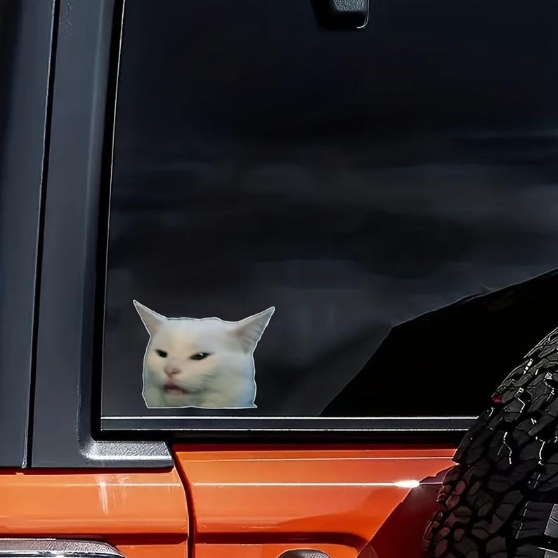 Op de afbeelding: Een witte kattenmeme-sticker met een ontevreden uitdrukking, aangebracht op een autoruit. De sticker is een populaire internetmeme, met een witte kat met een ontevreden gezichtsuitdrukking. De auto is oranje.
