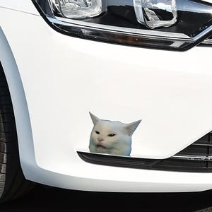 Op de afbeelding: Een witte auto met een sticker van een witte kat met een verwarde uitdrukking. De kop van de kat steekt uit de bumper van de auto. De auto heeft een zwarte grille en koplampen.
