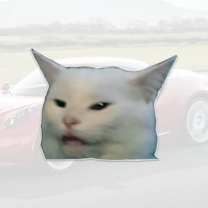 Op de afbeelding: Een witte kat met een chagrijnige uitdrukking, tegen een vage achtergrond van een rode auto en een landschap. Het gezicht van de kat is het middelpunt, met opstaande oren en een licht geopende mond.