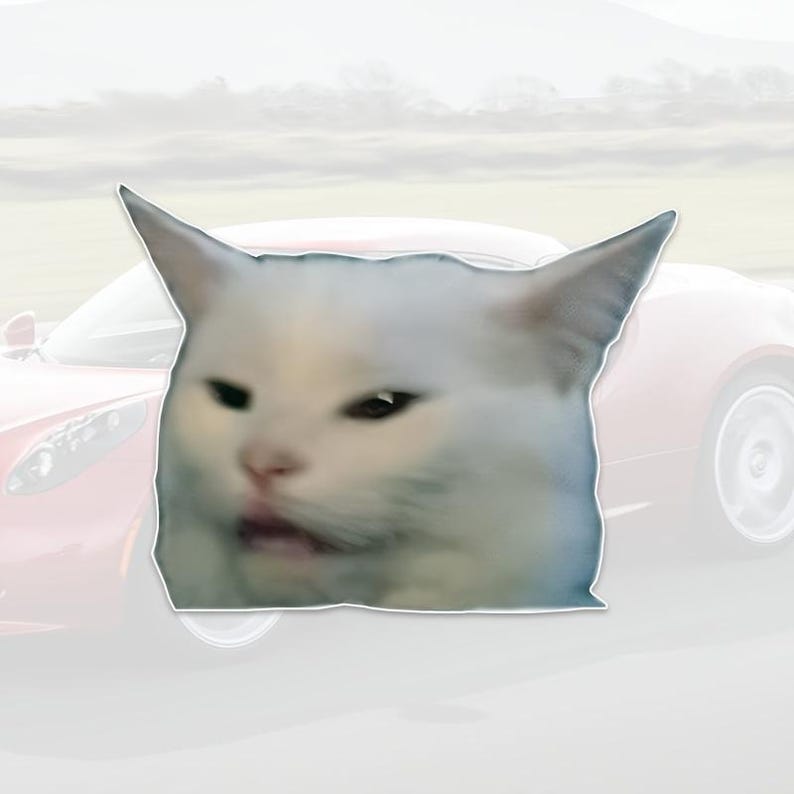 Op de afbeelding: Een witte kat met een chagrijnige uitdrukking, tegen een vage achtergrond van een rode auto en een landschap. Het gezicht van de kat is het middelpunt, met opstaande oren en een licht geopende mond.