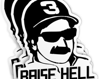 Raise Hell Praise Dale sticker, grappige raceauto-herdenkingssticker van waterdicht vinyl voor helm, waterfles of laptop.