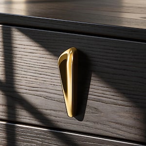 Maniglia per armadio a forma di testa di serpente color oro, moderna e minimalista.