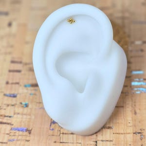 May include: A small, gold-coloured stud earring with a cluster of four balls is shown on a white ear model. The earring has a simple, delicate design. The ear model is smooth and clean, with a natural shape. The background is a textured, light brown surface.