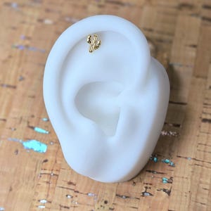 Peut inclure: Un clou d'oreille doré en forme de cactus est présenté sur un modèle d'oreille blanc. La boucle d'oreille est petite et détaillée, avec une surface texturée. Le fond est un tableau de liège.