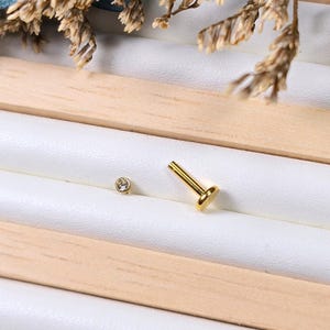 Peut inclure: Deux bijoux : une petite gemme ronde et transparente et un clou doré à dessus plat. Les bijoux sont présentés sur une surface blanche avec des accents en bois et des éléments floraux séchés. Le clou est conçu pour le perçage corporel.