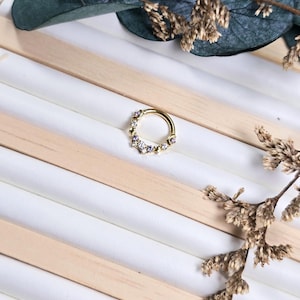 Peut inclure: Un anneau de septum doré orné de petites pierres précieuses claires et violettes. L'anneau circulaire présente un design à charnière. Le bijou est présenté sur une surface blanche et boisée, avec des feuilles séchées en arrière-plan.