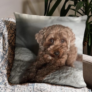Cojín acogedor de Cockapoo - Cojín de sofá para amantes de los perros