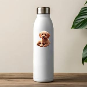 Ginger Cockapoo Puppy Stickers – Transparent PNG Clipart (Digital Download)