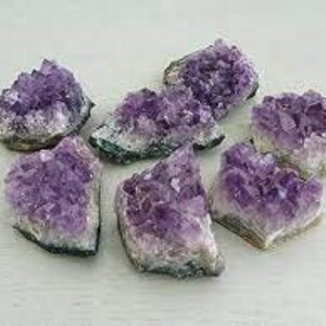 May include: A collection of amethyst crystal clusters, showcasing a range of purple hues. The crystals are mounted on a light-colored, rough matrix. Each cluster varies in size and shape, with visible crystalline structures.