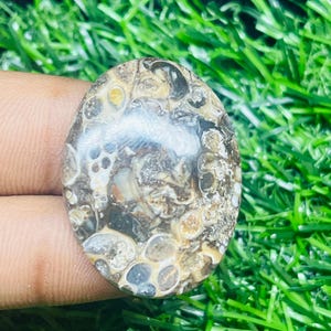 Crocodile Jasper Cabochon Polished Natural Gemstone 36.40ct