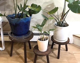 May include: Three small, dark brown wooden plant stands of varying heights. Each stand has three legs and a circular top. Potted plants with green foliage sit on the stands. One plant is in a blue pot, another in a white pot, and a third in a white pot.