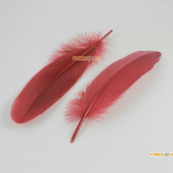 X20 plumas rojas -  España