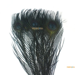 10 Pieces Black Peacock Feather 25-30cm (YM306)