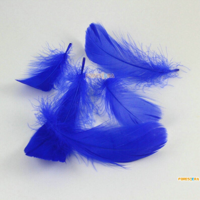 100 Pieces Dark Blue Feather 6-12CM YM396 image 5