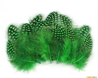 50 Piezas Pluma Verde 4.5-10cm (YM78)