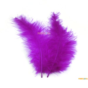 50 Pieces Purple Feather 9-15cm YM281 image 1