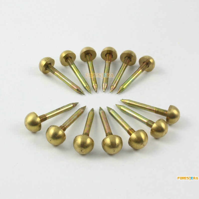 30pcs 8mm Solid Brass Upholstery Tacks Nails TN79 Etsy Australia