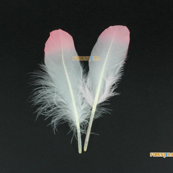 HARIM ハリム Leef Feather with Golden rose Pink Rose Gold Vermeil Feather Charm- 22k Rose Gold Plated