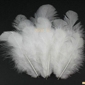May include: A bunch of white feathers, perfect for crafting or decorating. The feathers are soft and fluffy, and they would add a touch of elegance to any project.