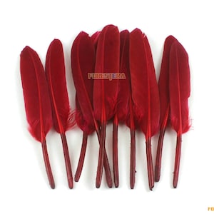 50 Pieces Wine Red Feather 9-15cm (YM143)