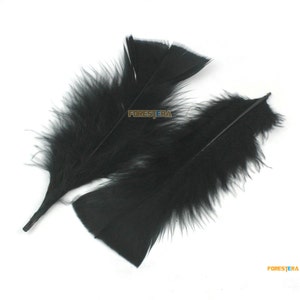 50 Pieces Black Feather 9-15cm (YM156)
