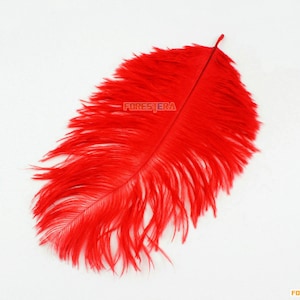 May include: A single bright red ostrich feather. The feather is long and fluffy with a thin, pointed tip.