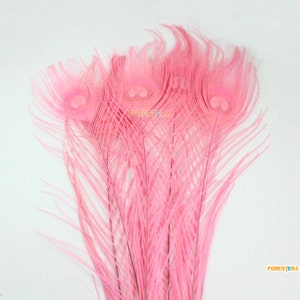 10 Stück rosa Pfau Feder 25-30cm (YM311)