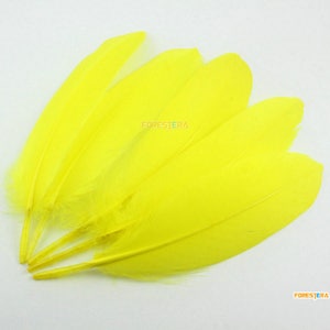 50 Pieces Yellow Feather 14-20cm (YM348)