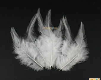 Puede incluir: Un grupo de plumas blancas, perfectas para manualidades o decoración.